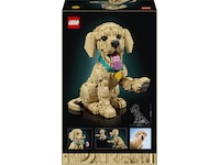 LEGO Icons Golden retriever-hvalp 11384 LEGO