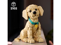 LEGO Icons Golden retriever-hvalp 11384 LEGO