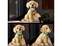 LEGO Icons Golden retriever-hvalp 11384 LEGO
