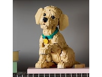 LEGO Icons Golden retriever-hvalp 11384 LEGO