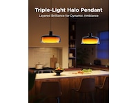 Govee Pendant Light smart loftlampe Loftlampe