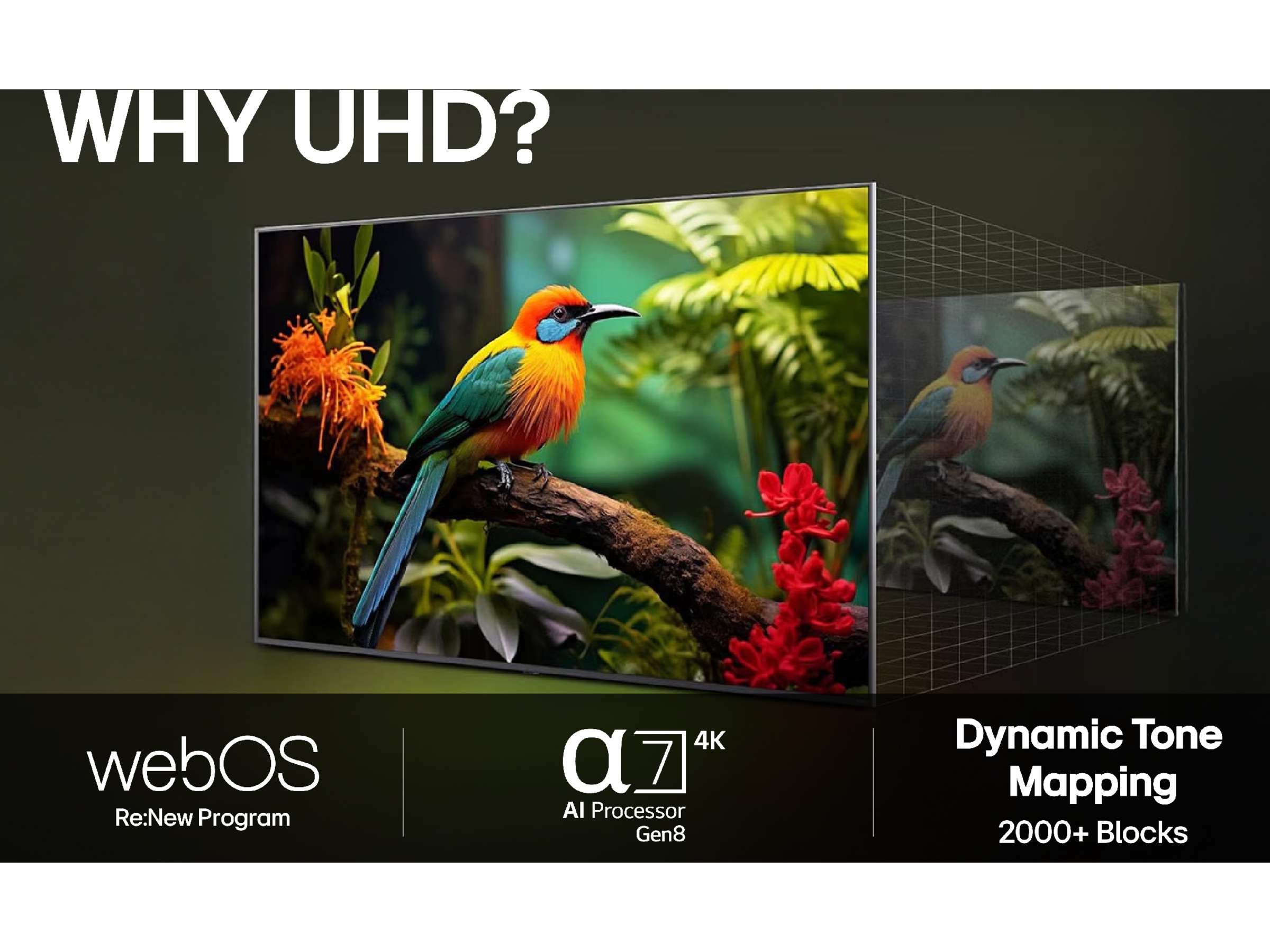 LG 75'' UA75 AI 4k smart-tv (2025) 70 - 79 tommer TV