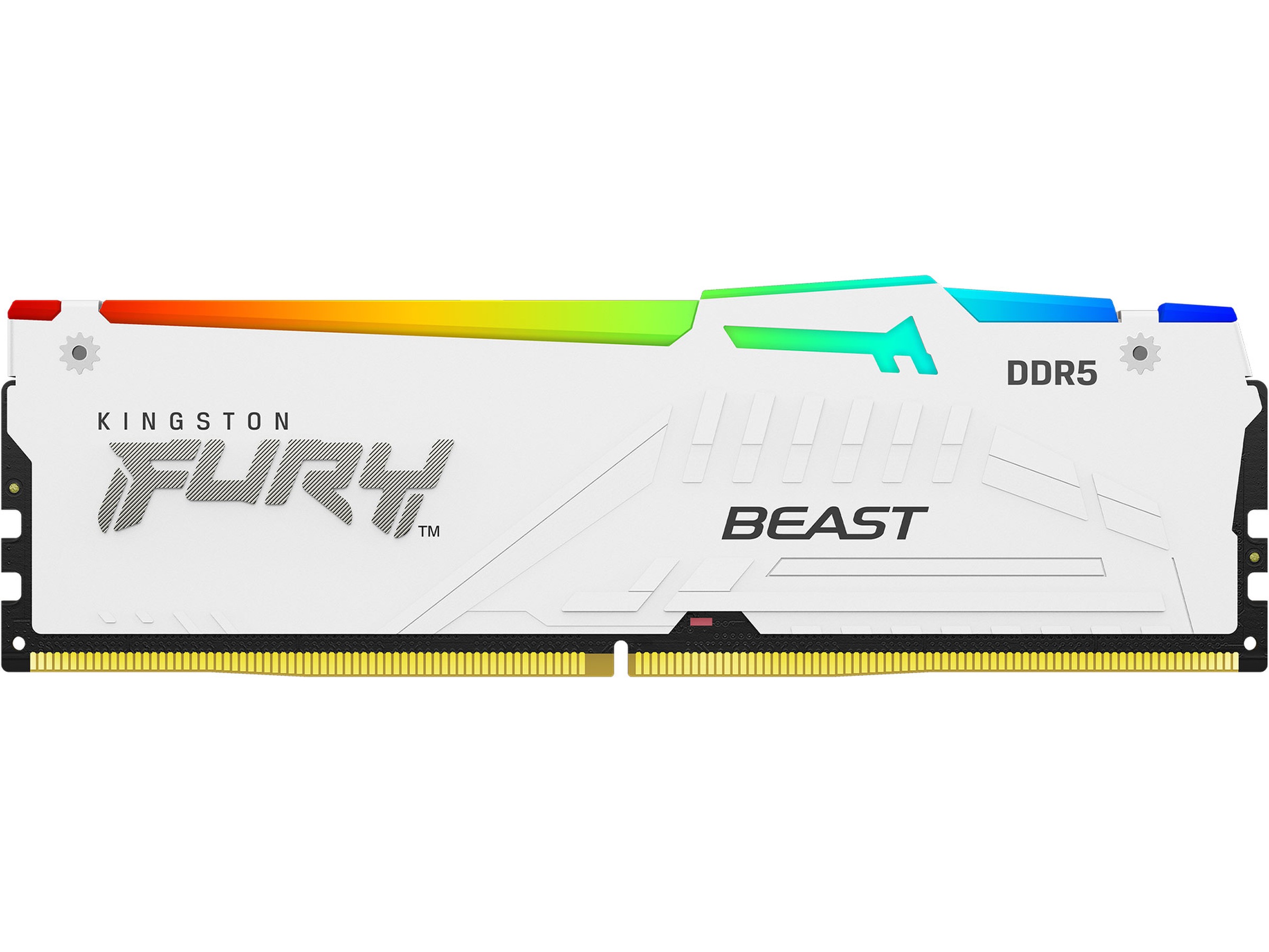 Kingston FURY Beast RGB DDR5 6000MHz 32GB (hvid) Hukommelse (RAM)