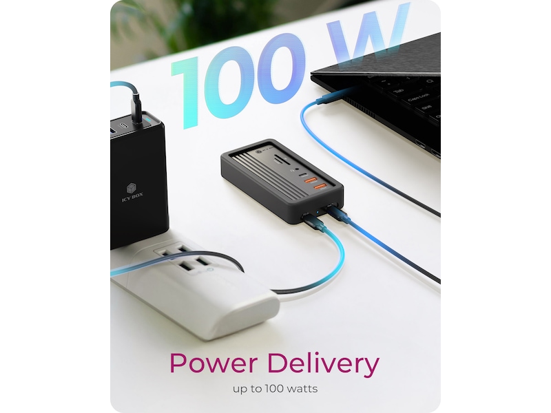 Icy Box 10 i 1 DockingStation Dockingstation og USB-hub