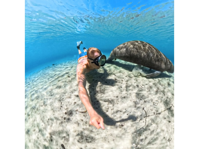 Insta360 X5 Invisible Dive Case Tilbehørssæt til kameraer