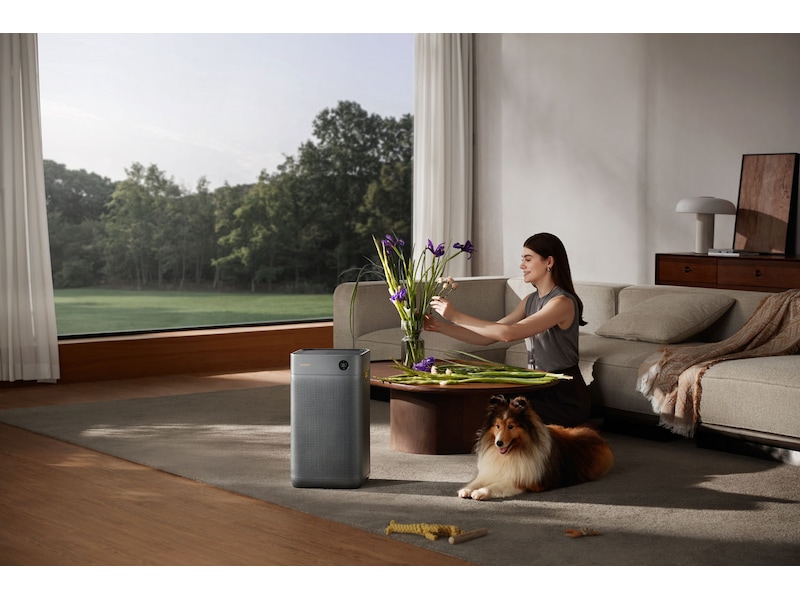 Smartmi Air Purifier 3 Luftrensere