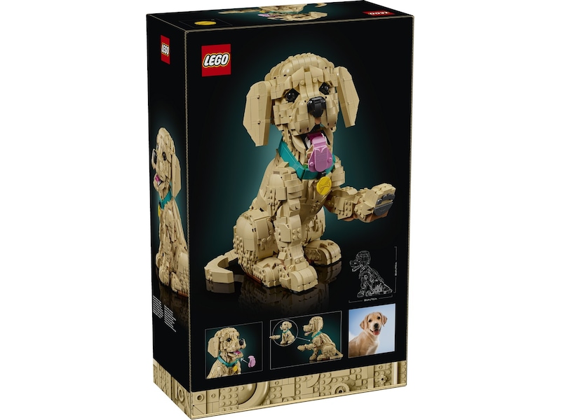 LEGO Icons Golden retriever-hvalp 11384 LEGO