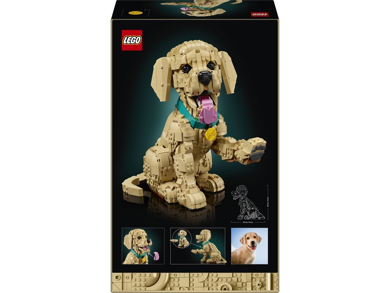 LEGO Icons Golden retriever-hvalp 11384 LEGO