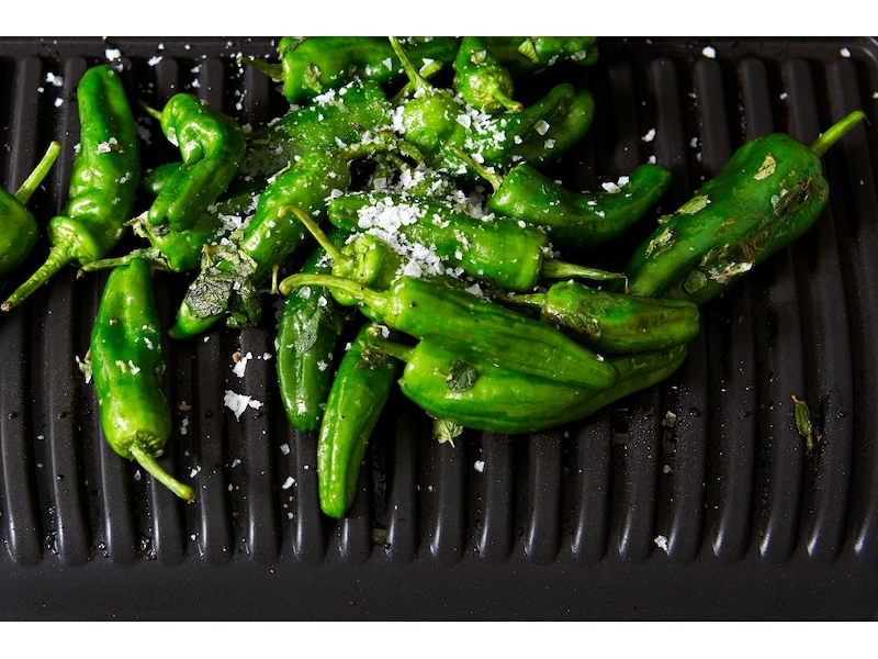 OBH Nordica Optigrill+ XL Andet køkkenudstyr