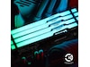 Kingston FURY Beast RGB DDR5 5600MHz 32GB Hukommelse (RAM)
