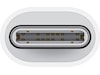 Apple USB-C til Lightning Adapter (hvid) Kabeladaptere og overgange
