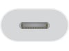 Apple USB-C til Lightning Adapter (hvid) Kabeladaptere og overgange