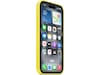 Apple iPhone 16 Silikonecover (stjernefrugt) Mobilcover