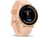 Garmin Vivoactive 6 AMOLED 42mm GPS (pink dawn) Smartwatches