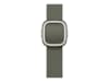 Apple Watch 42mm Modern Buckle (sage gray) Rem