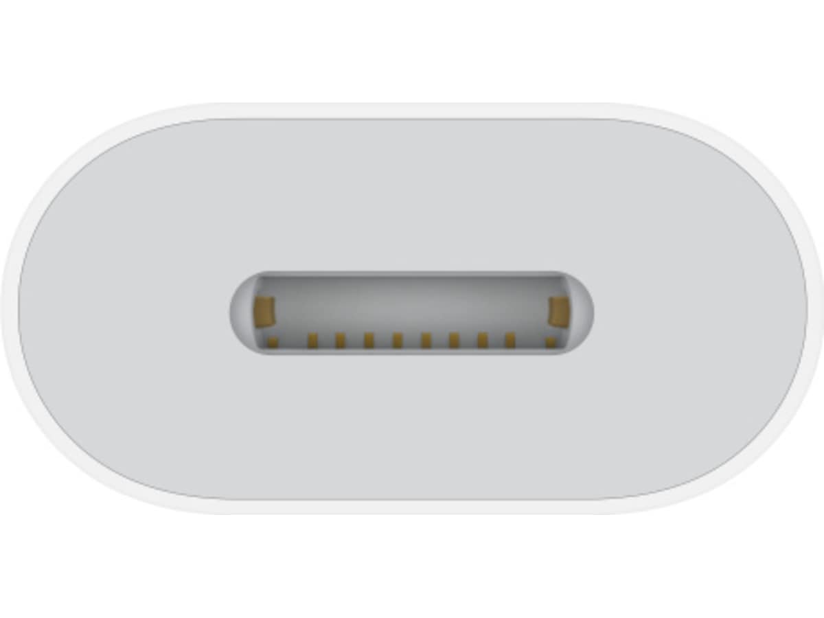 Apple USB-C til Lightning Adapter (hvid) Kabeladaptere og overgange