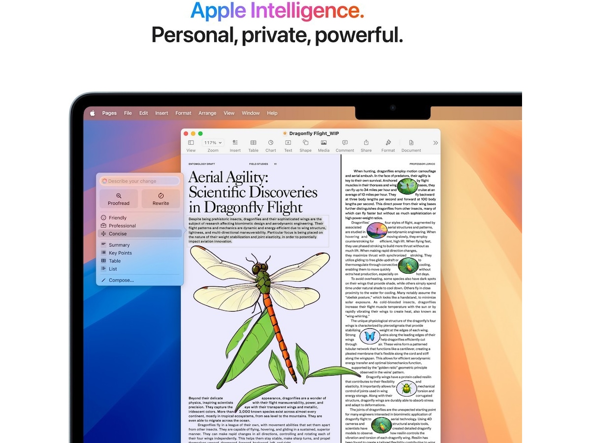 MacBook Air 13" (2025) 256GB (himmelblå) PC - Bærbar / laptop