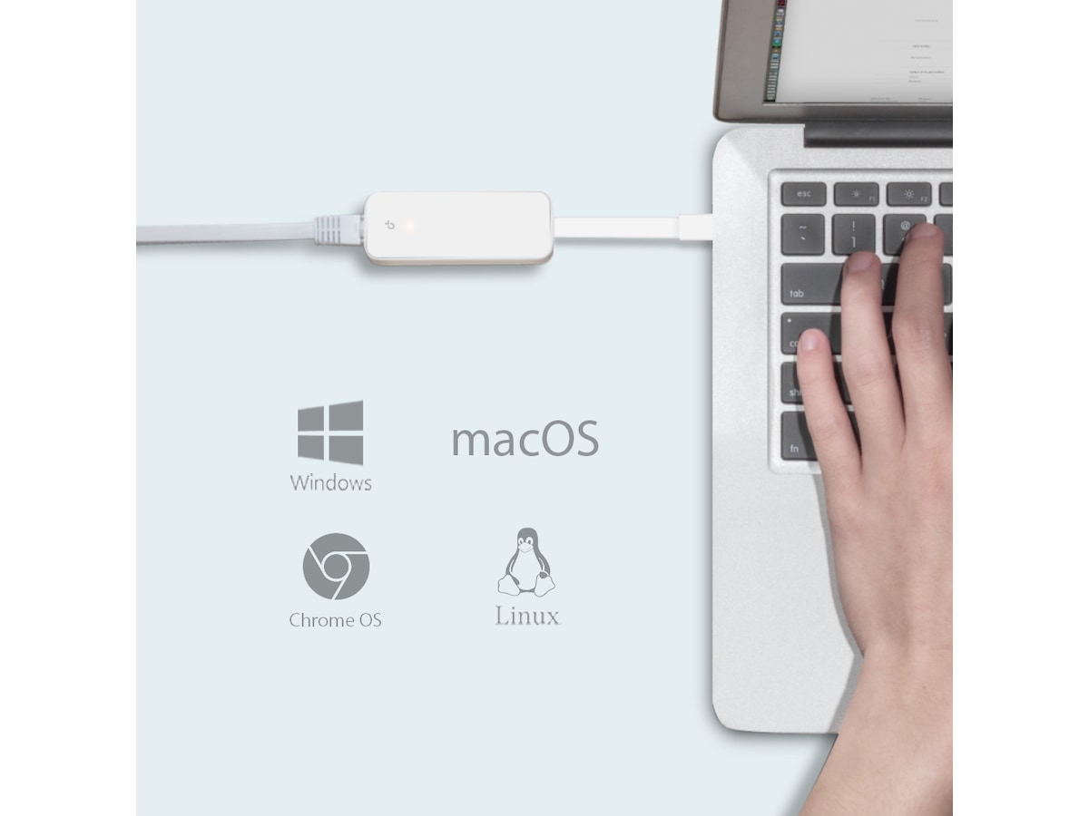 TP-Link UE300C USB-C til Ethernet adapter (hvid) Netkort