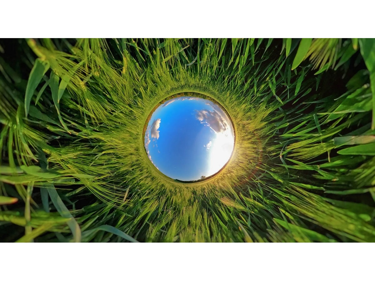 GoPro MAX Enduro Rechargeable Battery Tilbehørssæt til kameraer