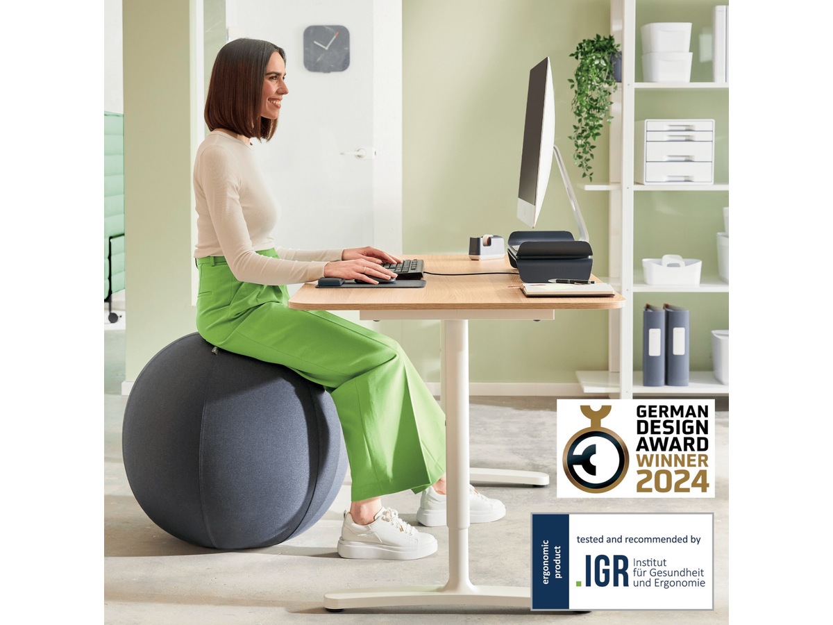 Leitz Ergo Active Anti-Roll Balance Ball (mørkegrå) Kontorstole