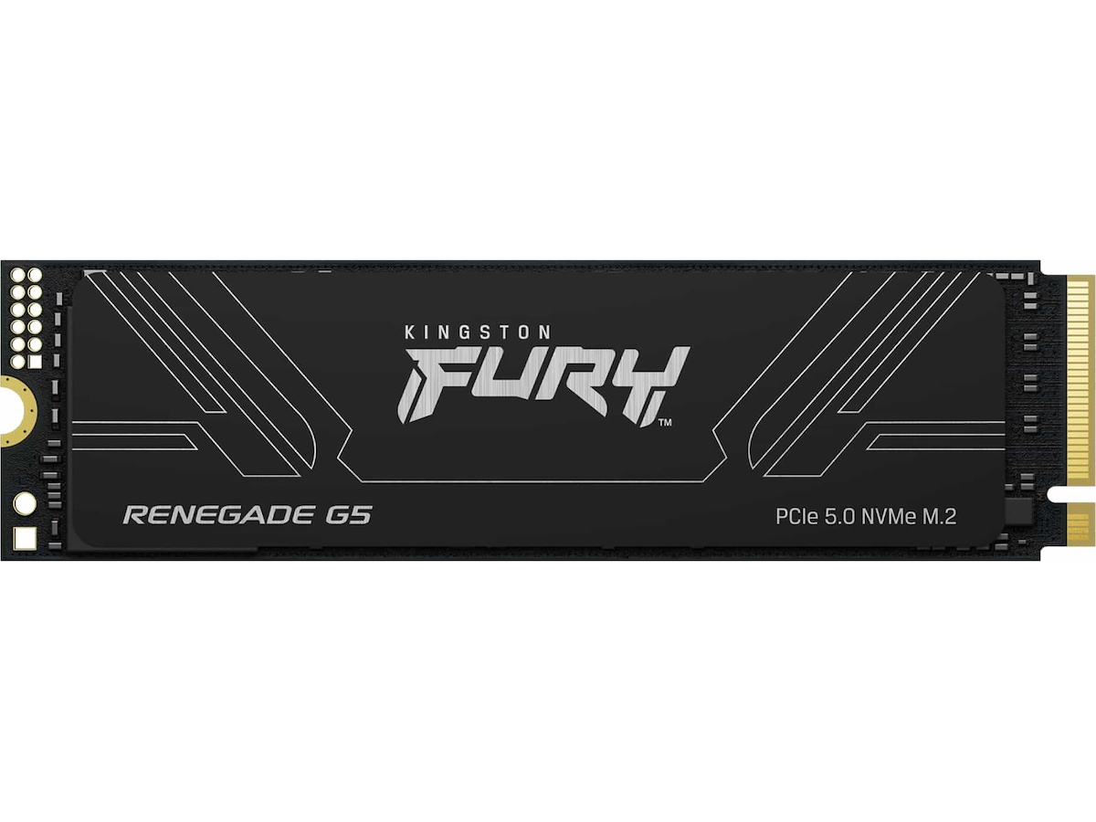 Kingston FURY Renegade G5 PCIe 5.0 NVMe M.2 SSD 1TB - SSD M.2