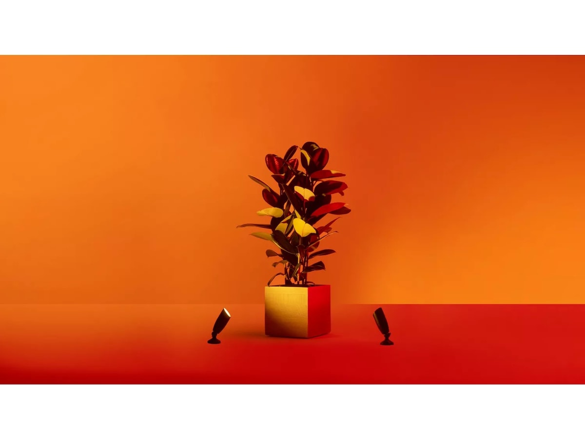 WiZ udendørs 12V jordspot startsæt Gulvlampe