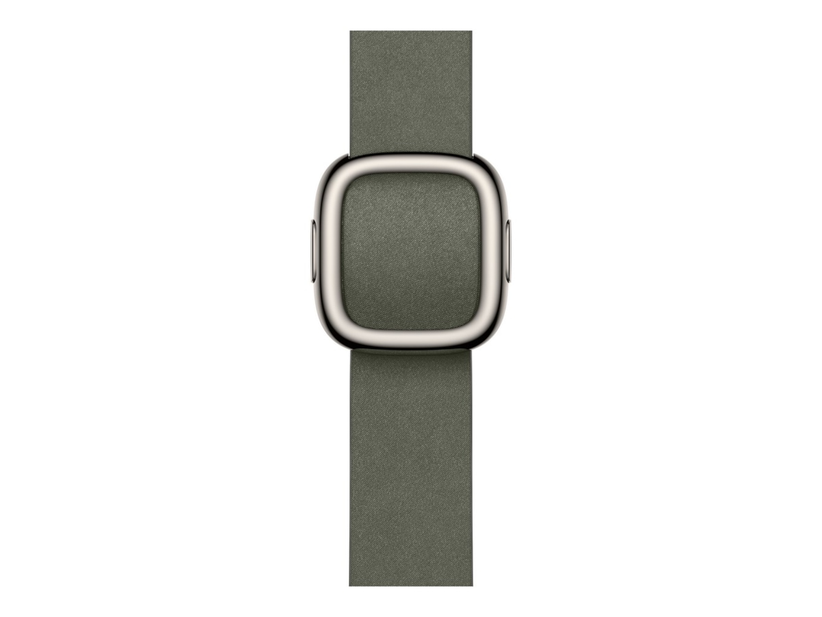 Apple Watch 42mm Modern Buckle (sage gray) Rem