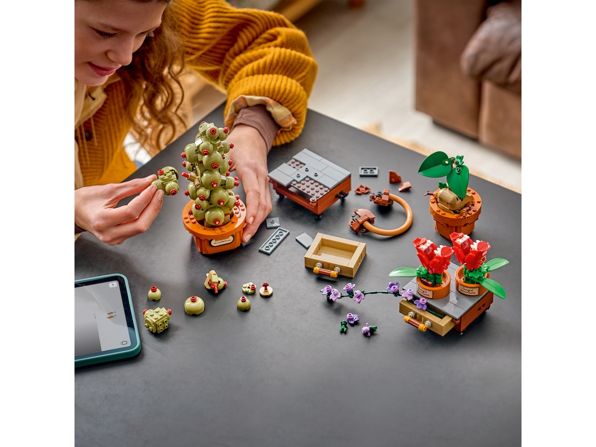 LEGO Harry Potter Urtologiplanter på Hogwarts 76474 LEGO