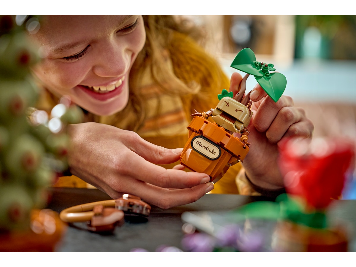 LEGO Harry Potter Urtologiplanter på Hogwarts 76474 LEGO