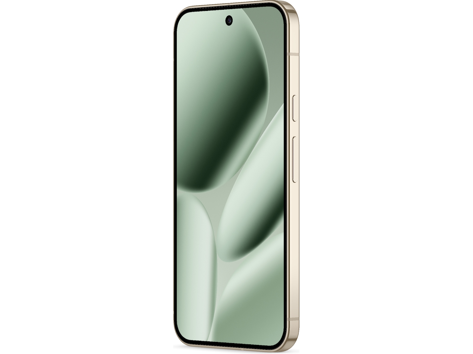 Google Pixel 10 Pro XL 256GB (jade) Mobiltelefoner