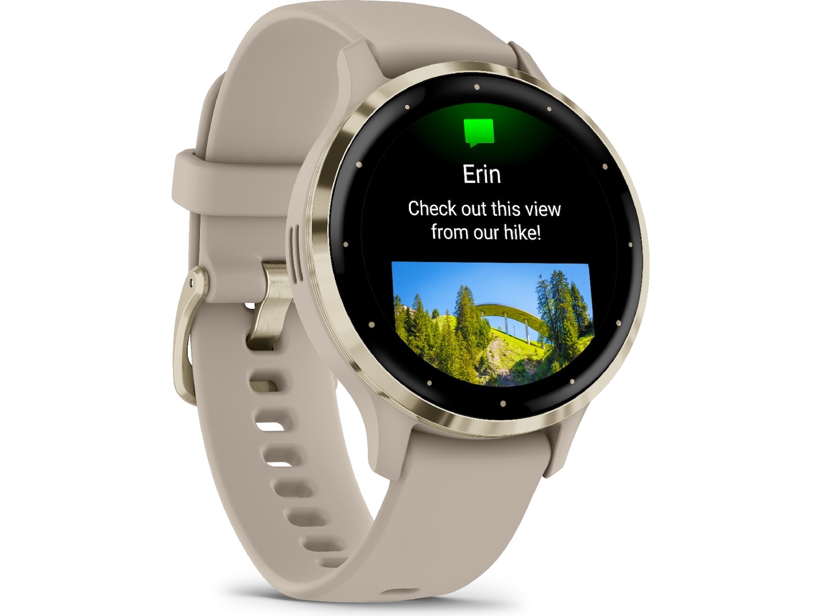 Garmin Venu 3S 41mm GPS (french gray/soft gold) Smartwatches
