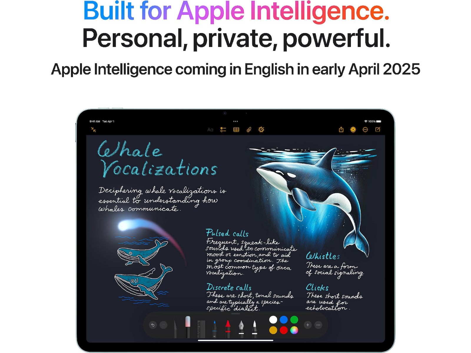 iPad Air 11" (2025) 256GB WiFi (space grey) Tablets