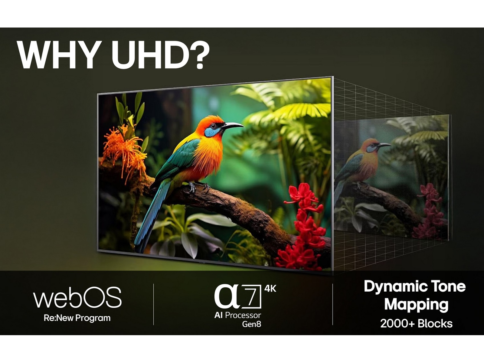 LG 50" UA73 AI 4K UHD Smart TV (2025) 50 - 59 tommer TV