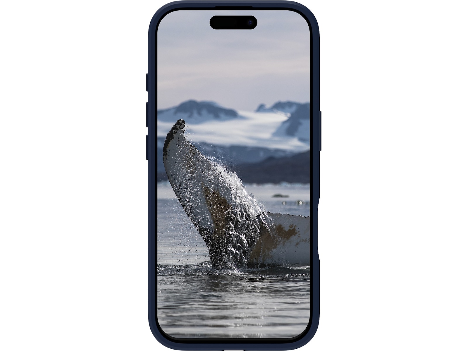 dbramante1928 iPhone 17 Greenland Pro cover (pacific blue) Mobilcover