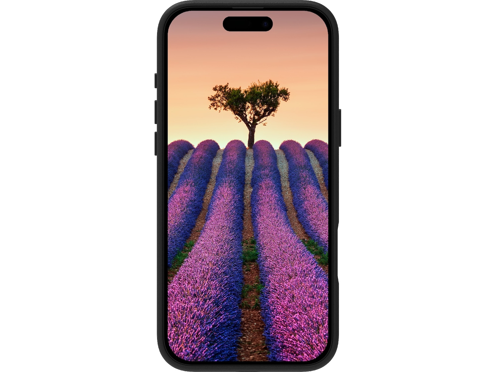 dbramante1928 iPhone 17 Pro Max Roskilde lædercover (sort) Mobilcover