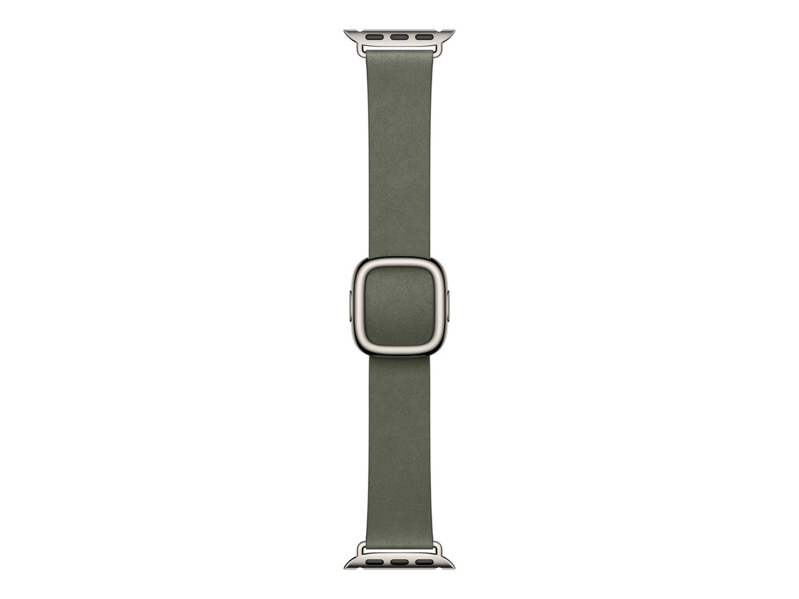 Apple Watch 42mm Modern Buckle (sage gray) Rem