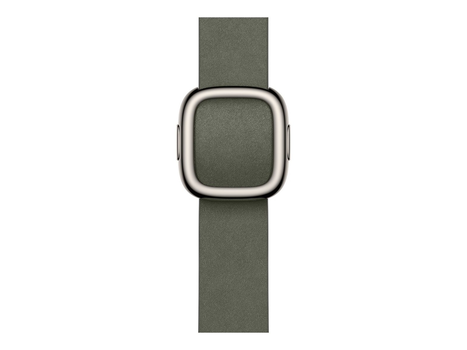 Apple Watch 42mm Modern Buckle (sage gray) Rem