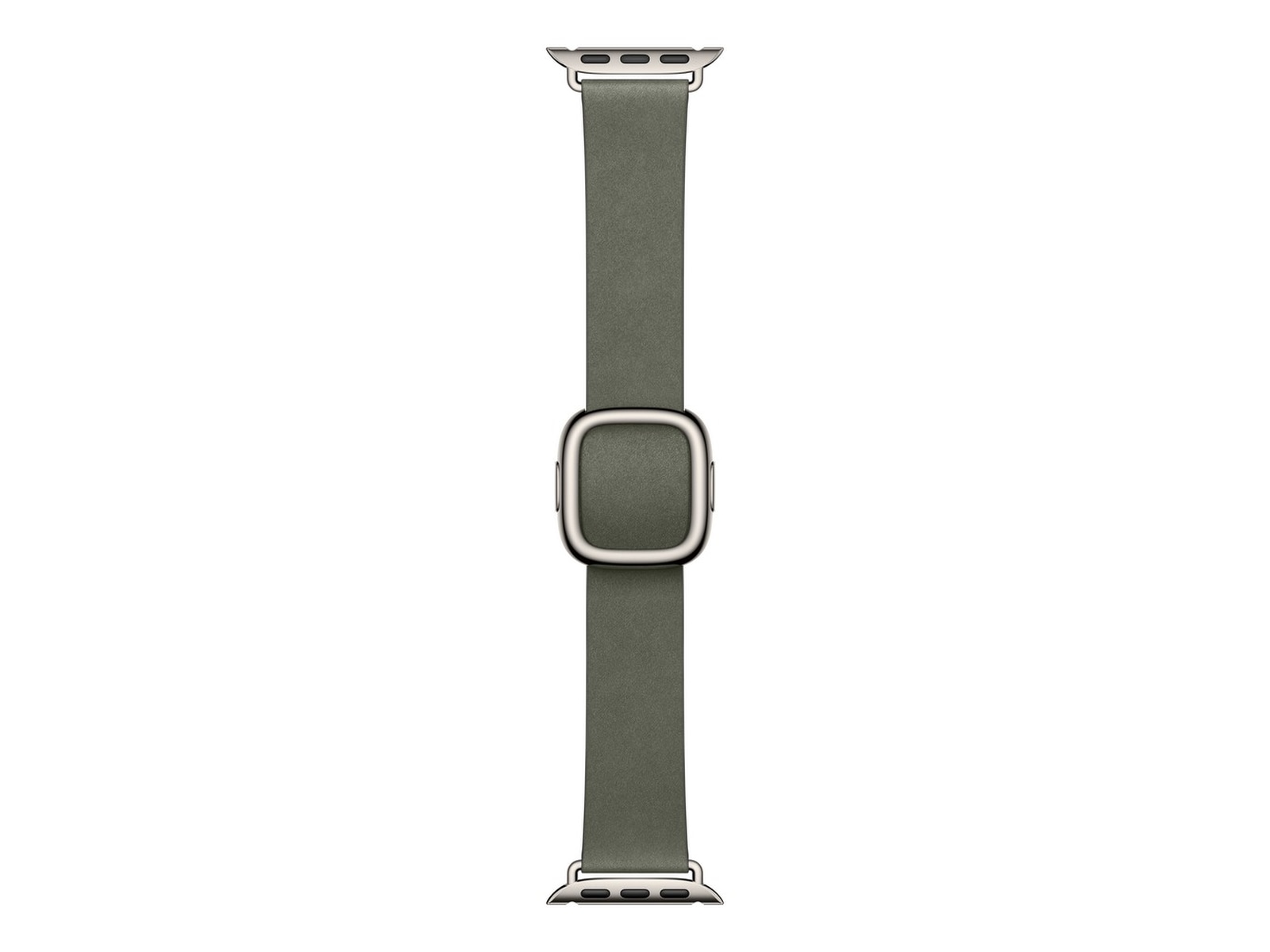 Apple Watch 42mm Modern Buckle (sage gray) Rem