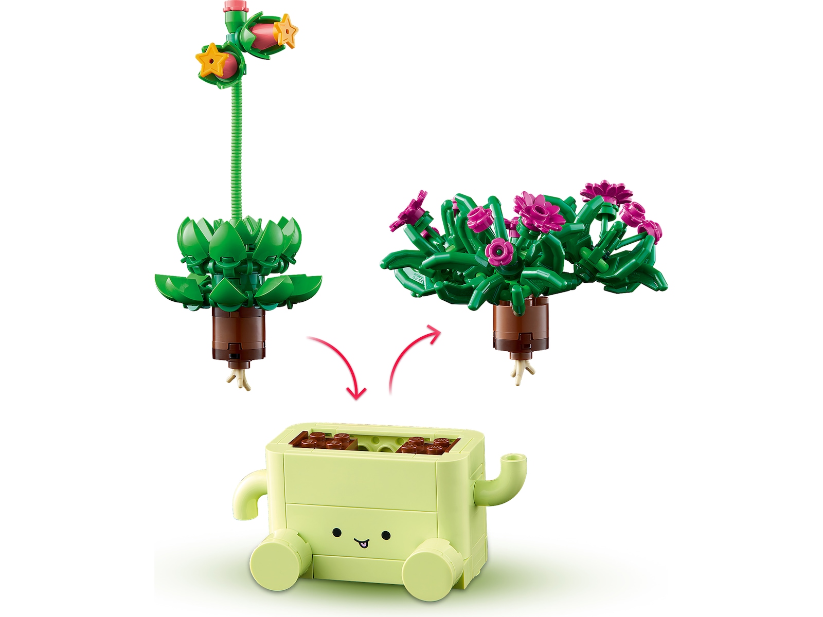 LEGO Botanicals Gyngende planter 11506 LEGO