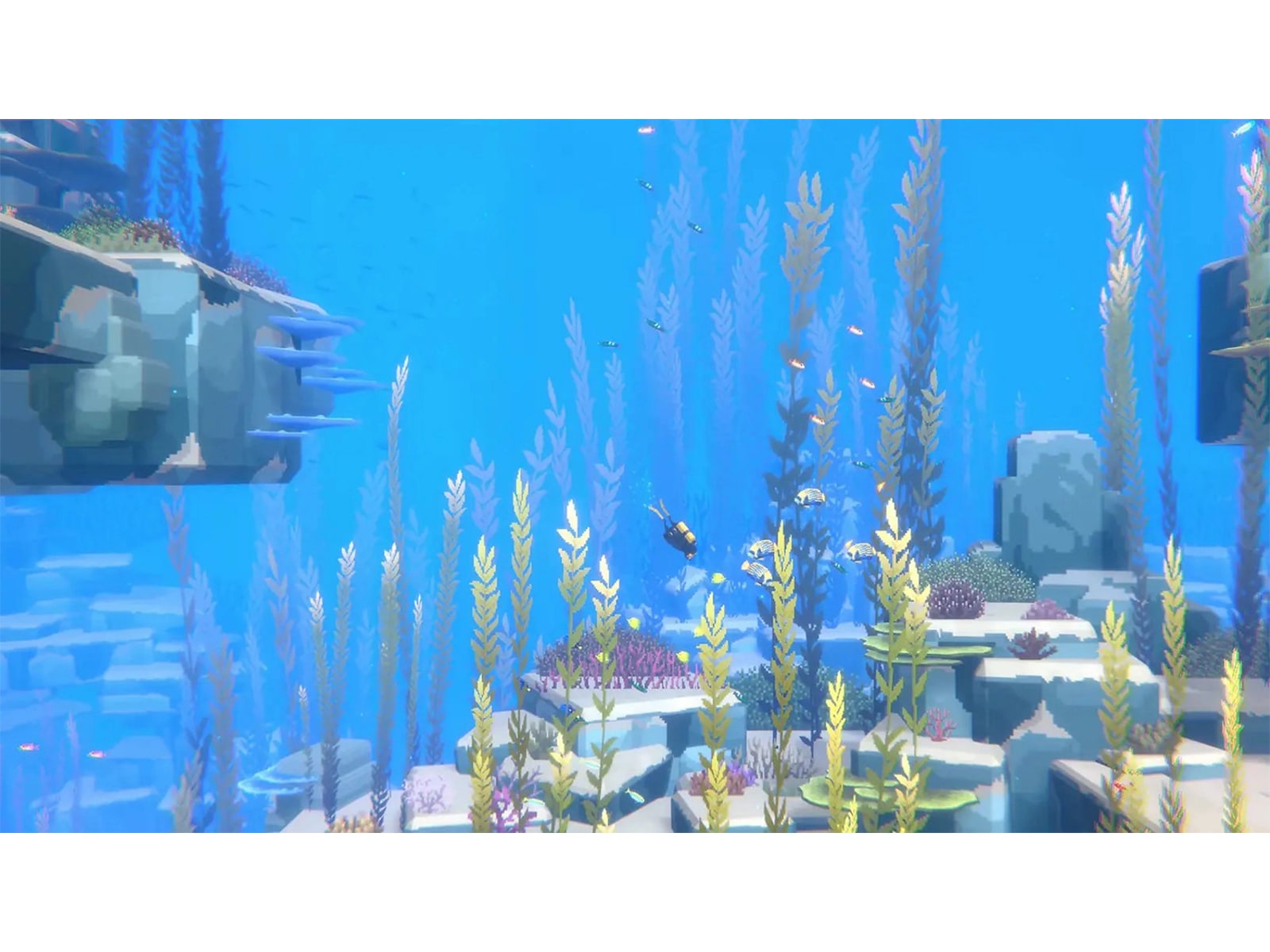 Dave the Diver Complete Edition Spill til Nintendo Switch 2