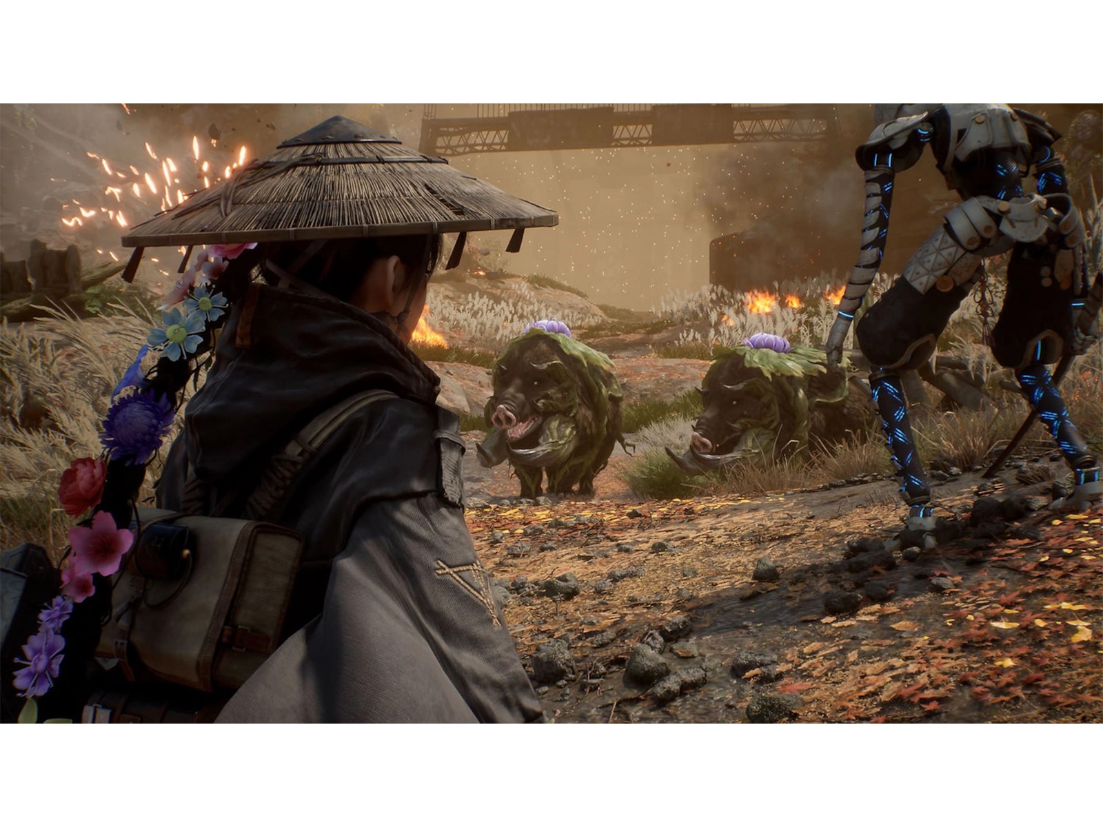 Beast of Reincarnation Spil til Playstation 5