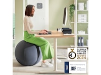 Leitz Ergo Active Anti-Roll Balance Ball (mørkegrå) Kontorstole