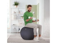 Leitz Ergo Active Anti-Roll Balance Ball (mørkegrå) Kontorstole