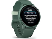 Garmin Vivoactive 6 AMOLED 42mm GPS (jasper green) Smartwatches