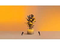 WiZ udendørs 12V jordspot startsæt Gulvlampe