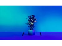 WiZ udendørs 12V jordspot startsæt Gulvlampe