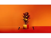 WiZ udendørs 12V jordspot startsæt Gulvlampe