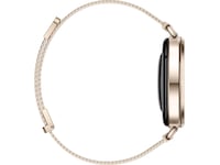 Huawei Watch GT 6 41mm (gold) Smartwatches