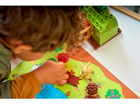 LEGO DUPLO Town Spændende skov med vilde dyr 10480 LEGO