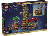 LEGO Harry Potter Urtologiplanter på Hogwarts 76474 LEGO